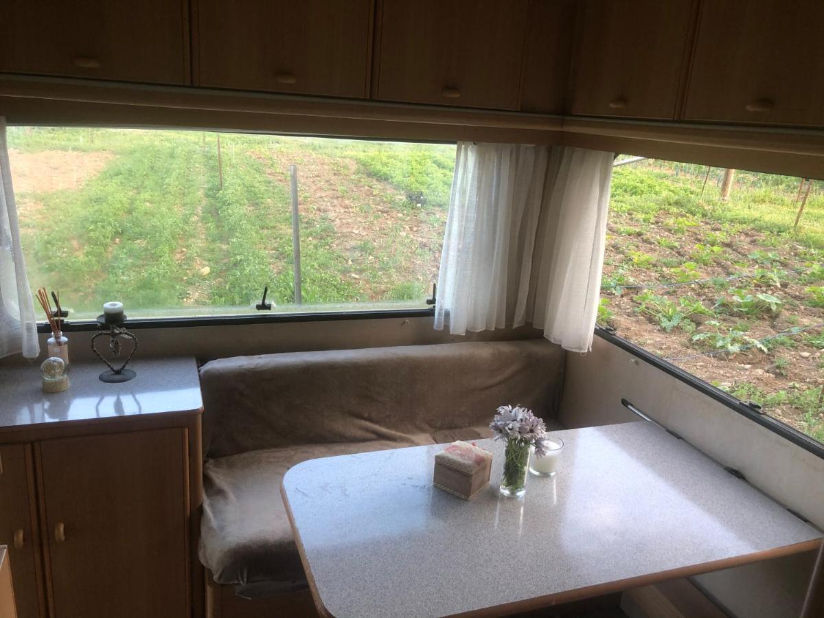 فندق La Ferme De Rotani آلُريا المظهر الخارجي الصورة