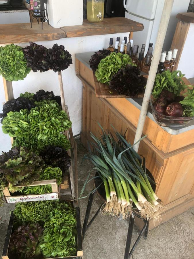 فندق La Ferme De Rotani آلُريا المظهر الخارجي الصورة